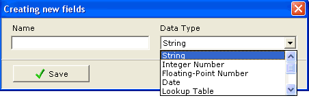 New Field Creation window screenshot