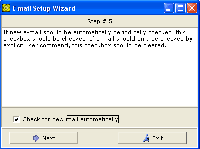 E-Mail Setup Wizard Step 5 window screenshot