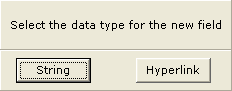 Choosing either String or Hyperlink as field type